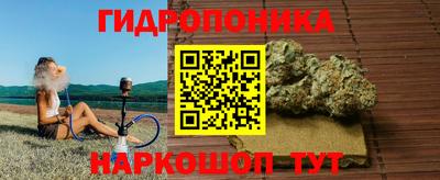 PSILOCYBIN Тара