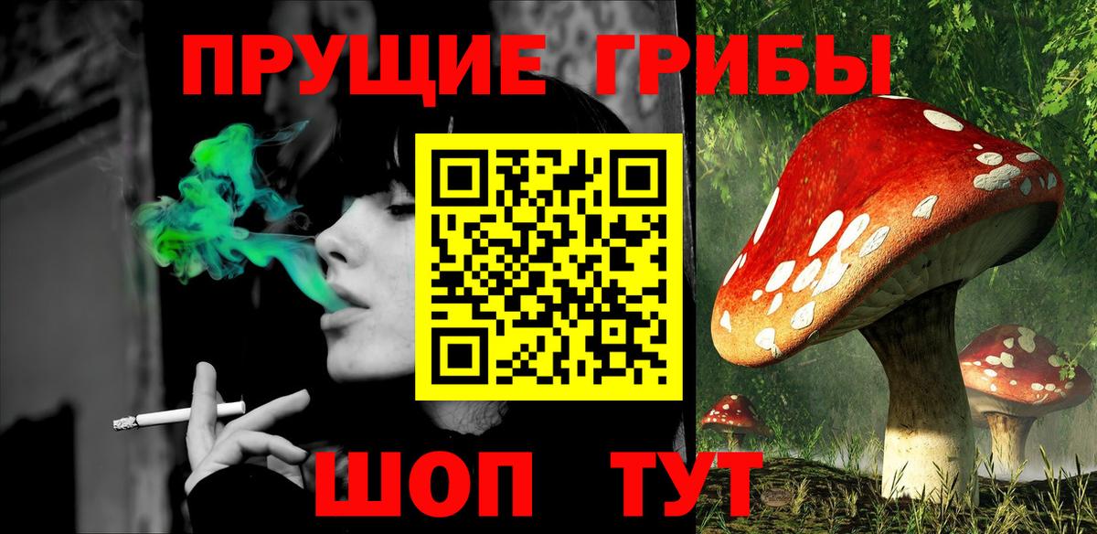 Псилоцибиновые грибы Psilocybe  Псилоцибиновые грибы Cubensis  где найти наркотики  Вход с VPN  Ульяновск 