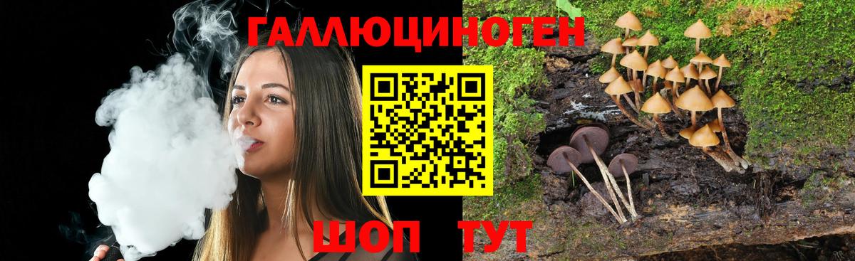 Псилоцибиновые грибы мицелий Ульяновск